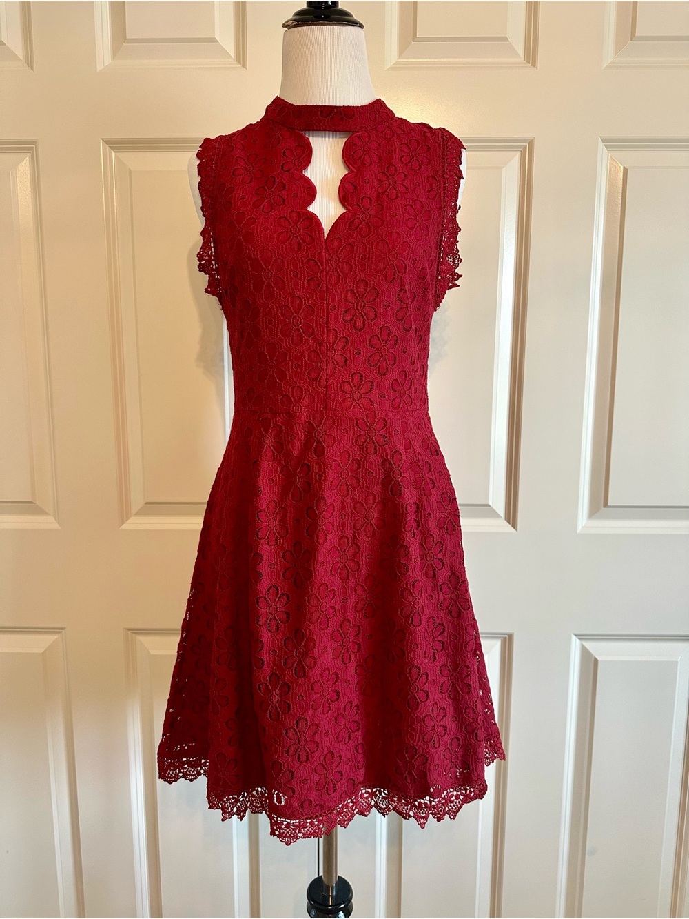 Red Lace Eyelet Fit and Flare Dress